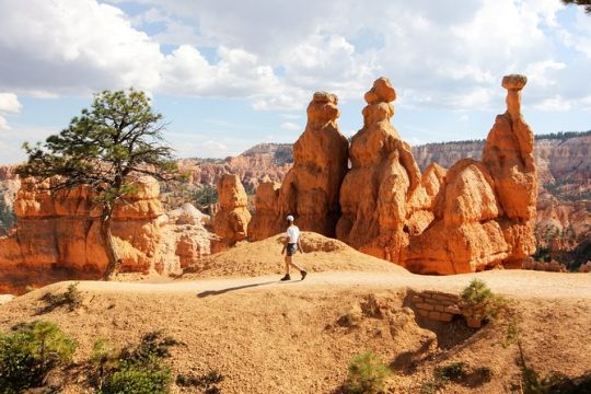 Bryce Canyon and Zion National Park Day Tour with Lunch from Las Vegas
