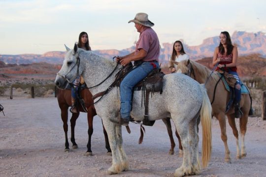 Horseback Riding Tour Cool Mountain Weather w/ BBQ Lunch in Vegas