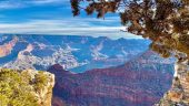 Exceptional guide, driver, and experience!