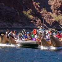 Float Trips