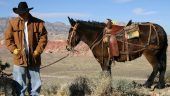 Nice place, good horses.