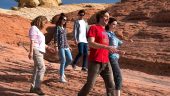 Red rock canyon half day 