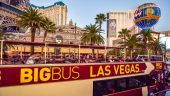 The best bus!