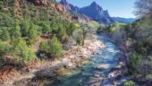 Zion van tour with Art