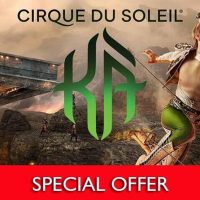 Cirque du Soleil