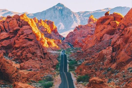 Valley of Fire and Mojave Desert Tour