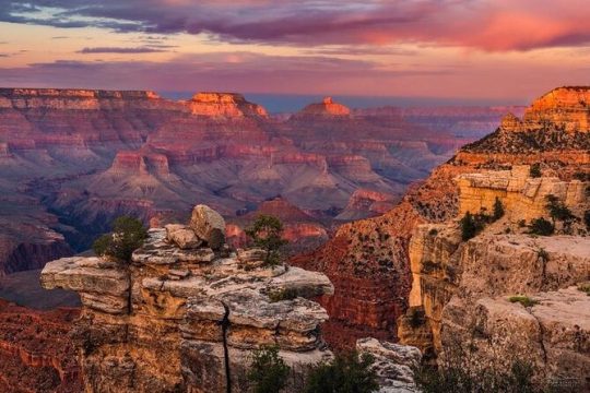Grand Canyon South Rim 1-Day Tour