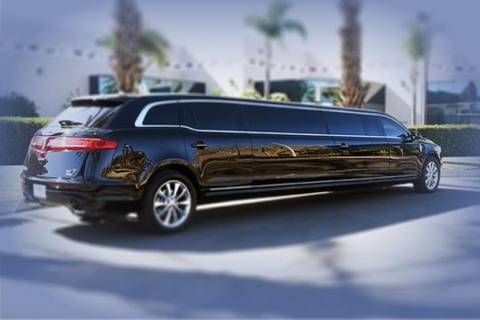 1.5 Hr Las Vegas Strip Limo Tour with Champagne and Photographs