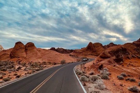 1 Day Tour at Valley of Fire and Zion Park