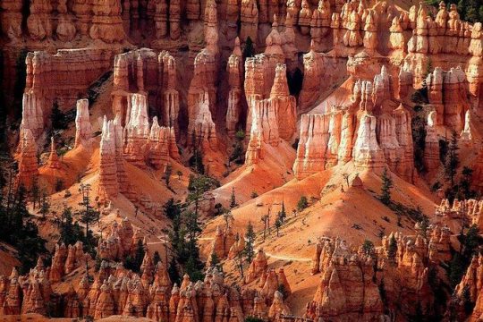 1-Day Zion & Bryce Canyon National Park Bus Tour