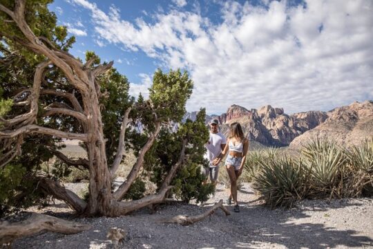 Red Rock Canyon Scooter Tour from Las Vegas