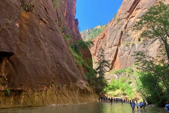 Zion National Park Small Group Tour with 6 Hours Explore Time