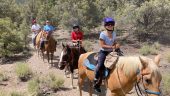 Horseback riding