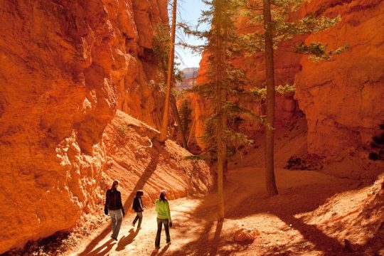 2 Days Bryce Canyon and Zion Park Start Ends in Las Vegas