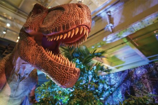Dino Safari - A Walk Thu Adventure at Horseshoe Las Vegas