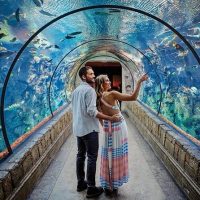 Holiday & Seasonal Tours