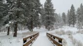 A unique experience with beautiful mountain scenery