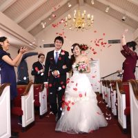 Wedding Packages