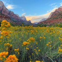 Multi-day Tours