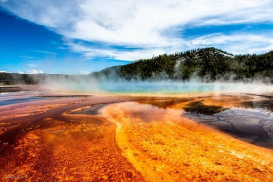Grand Teton,Yellowstone National Park,Las Vegas 8Day Tour from LA