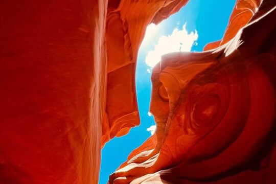5 Day Tour L. Angeles Las Vegas Yellowstone & Grand Teton from LA