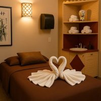Spa Tours
