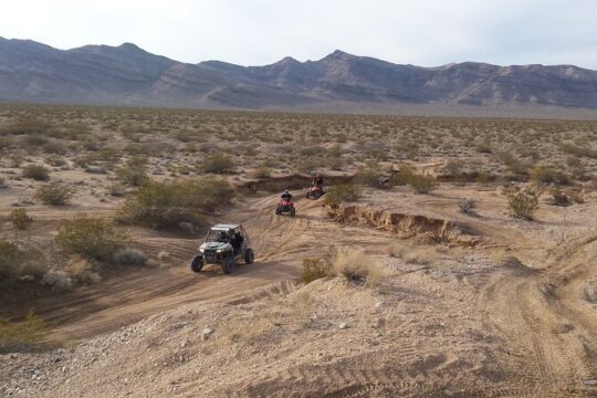 Las Vegas ATV 2 hour Rental