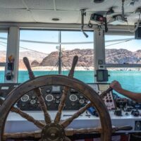 Day Cruises