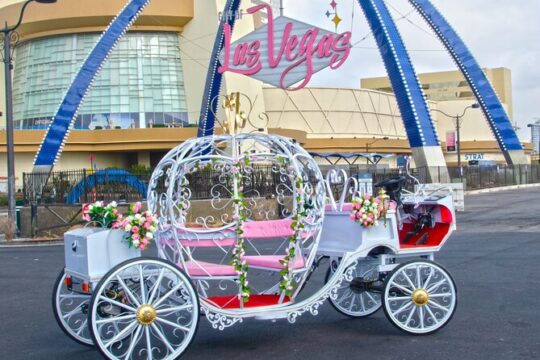 Las Vegas Famous Marriage in a Carriage