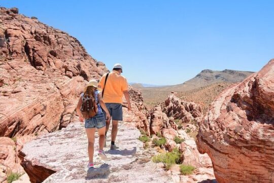 Red Rock Canyon Small Group Tour from Las Vegas